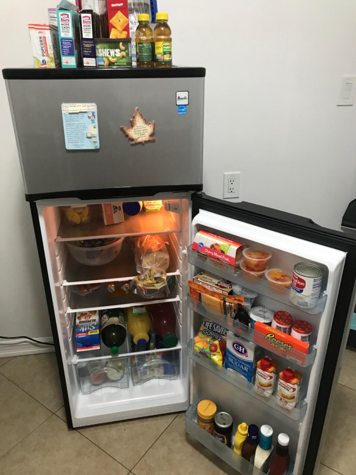 Avanti Apartment Size Refrigerator Frost-Free Defrost with Top Freezer Adjustable Glass Shelves LED Lighting Reversible Door 10.0 Cu. Ft., in Stainless Steel customer photo 2