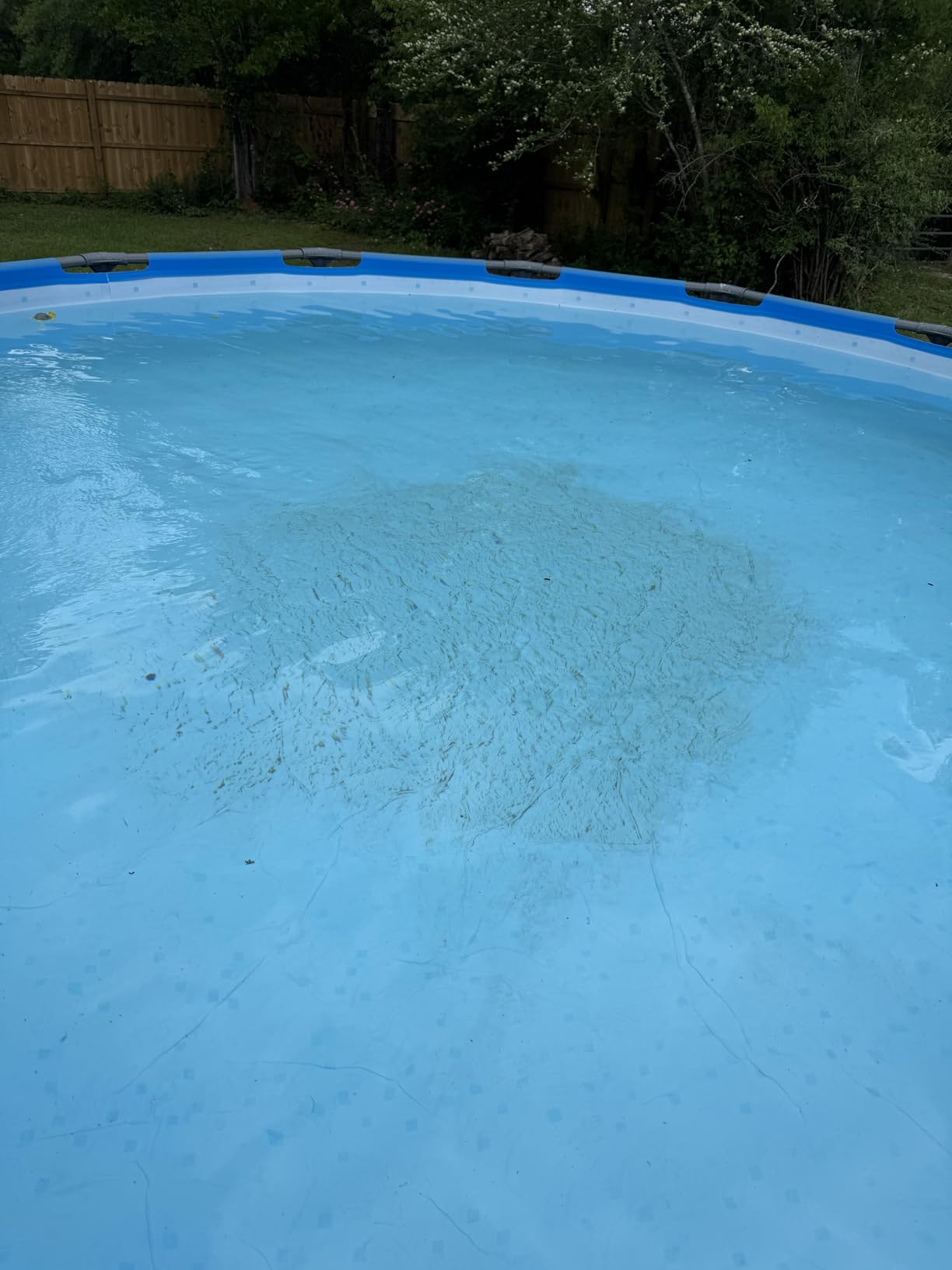 FibroPool Pool Vacuum Head-Weighted Flexible - 14.4 x 10.5 in,Thermoplastic customer photo 1