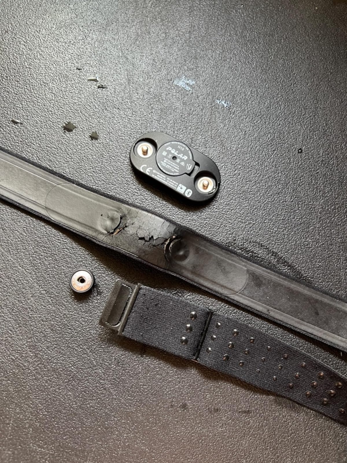 Polar Pro Chest Strap - Heart Rate Monitor Belt customer photo 2