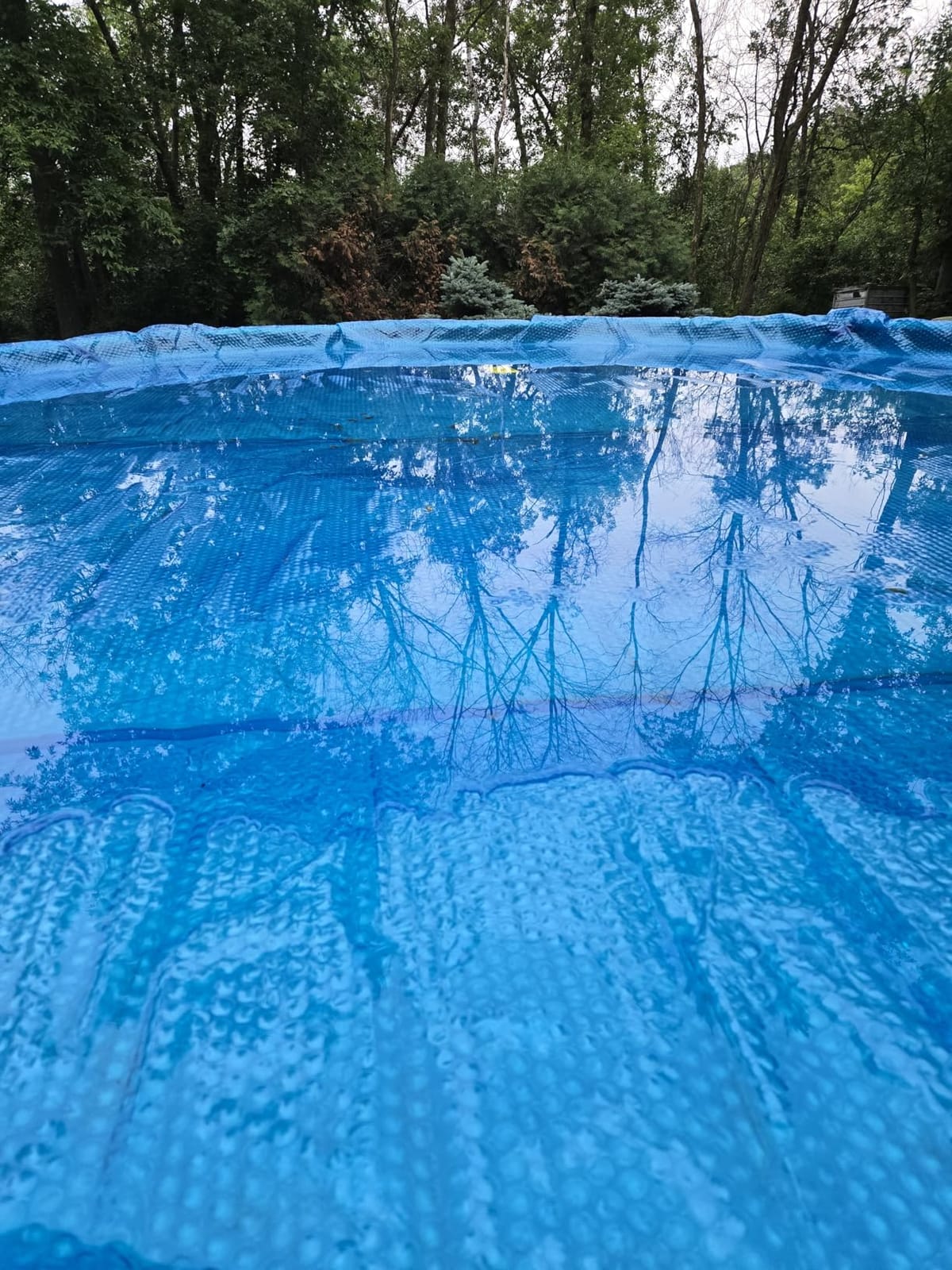 Sun2Solar Blue 27 ft Round Solar Cover | 8 Mil | Heat Retaining customer photo 1