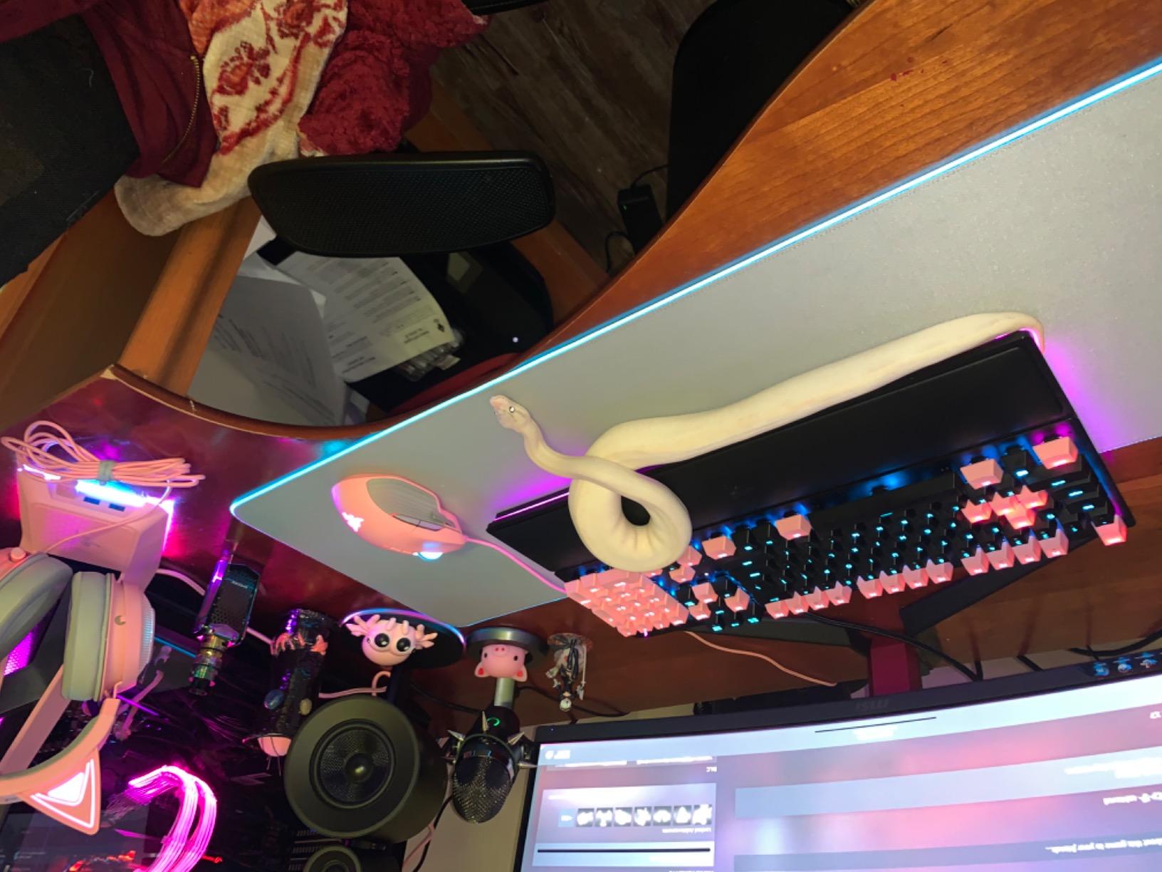 Razer Nommo Pro: THX Certified Premium Audio - Dolby Virtual Surround Sound - LED Illuminated Control Pod - Downward Firing Subwoofer - Powered Chroma - PC Gaming Speakers customer photo 1