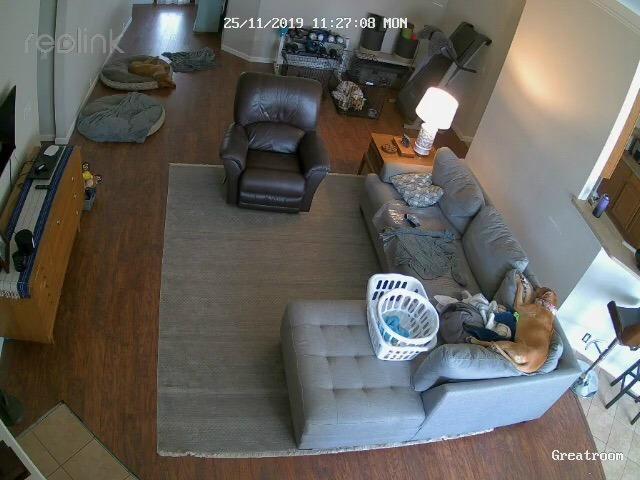 REOLINK 5MP 8CH Home Security Camera System with 2TB HDD RLK8-520D4-5MP customer photo 2
