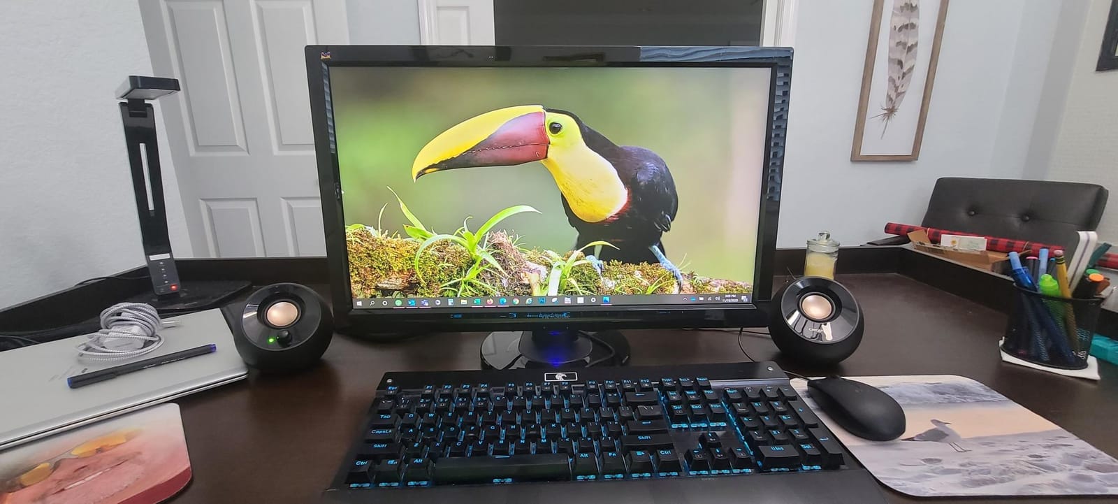 Creative Pebble Plus 2.1 USB-Powered Desktop Speakers with Powerful Down-Firing Subwoofer and Far-Field Drivers, Up to 8W RMS Total Power for Computer PCs and Laptops (Black) customer photo 2