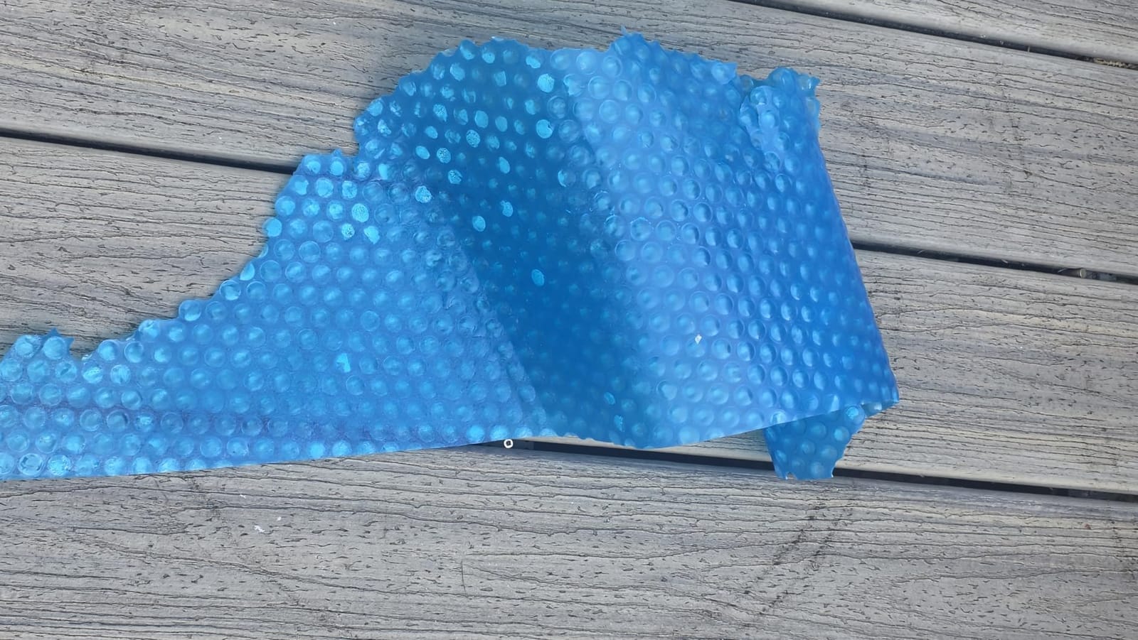 Sun2Solar Blue 10 ft Round Pool Solar Cover | 1600 Series | Heat Retaining customer photo 1