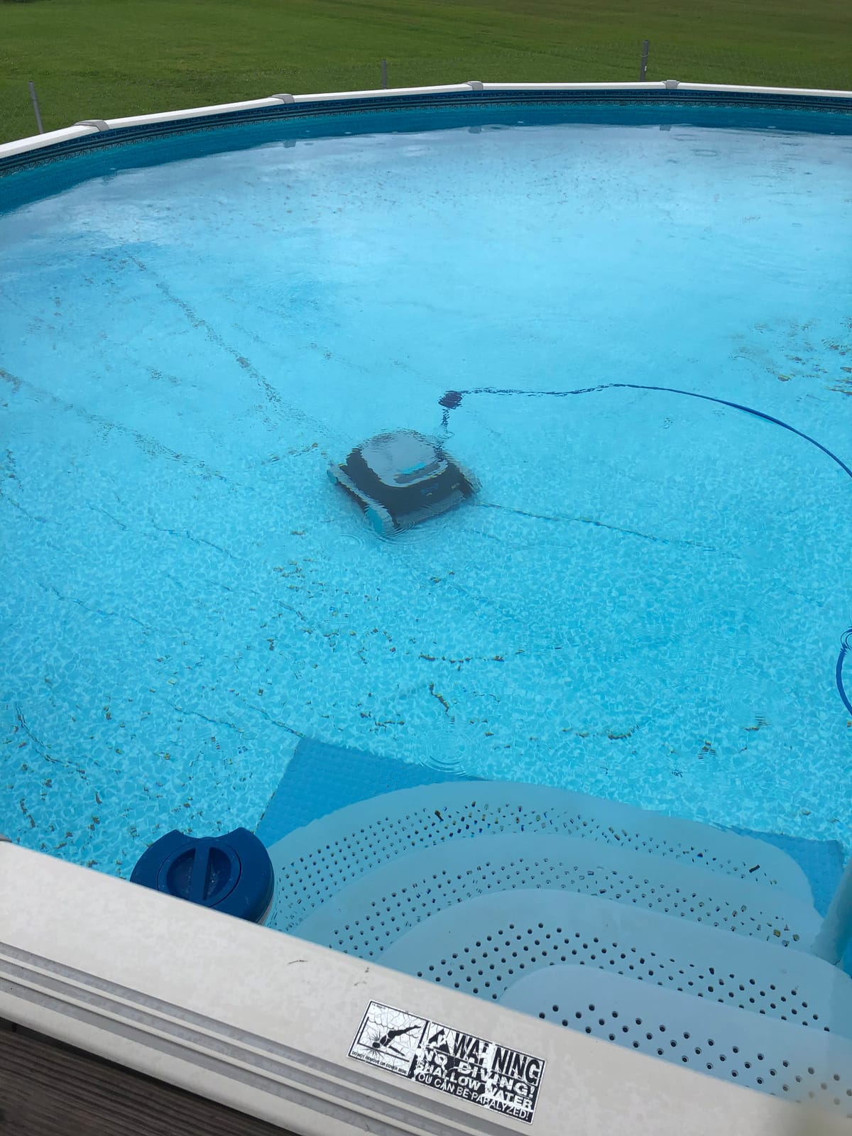 Dolphin Advantage Automatic Robotic Pool Vacuum Cleaner, Wall Climbing, Active Scrubber Brush, Ideal for In-Ground Pool Types up to 33 FT in Length customer photo 1