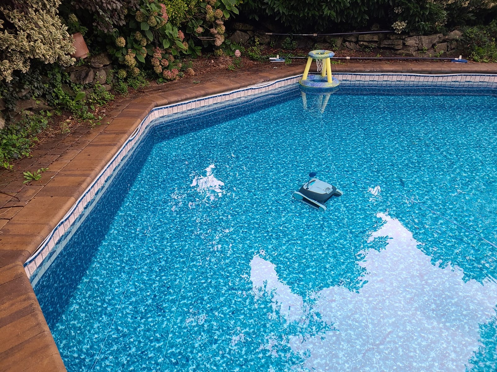 Dolphin Advantage Automatic Robotic Pool Vacuum Cleaner, Wall Climbing, Active Scrubber Brush, Ideal for In-Ground Pool Types up to 33 FT in Length customer photo 2