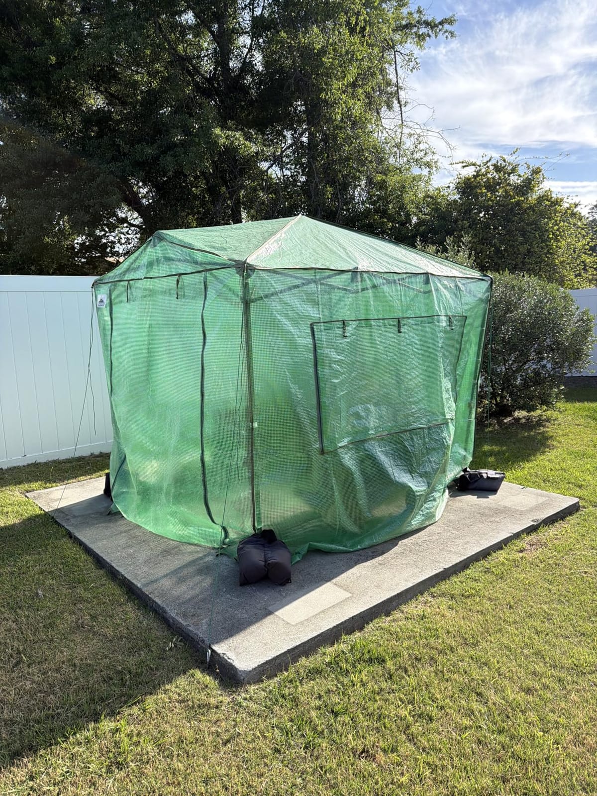 EAGLE PEAK 8x6 Easy Setup Pop Up Greenhouse, Clear/Green customer photo 1