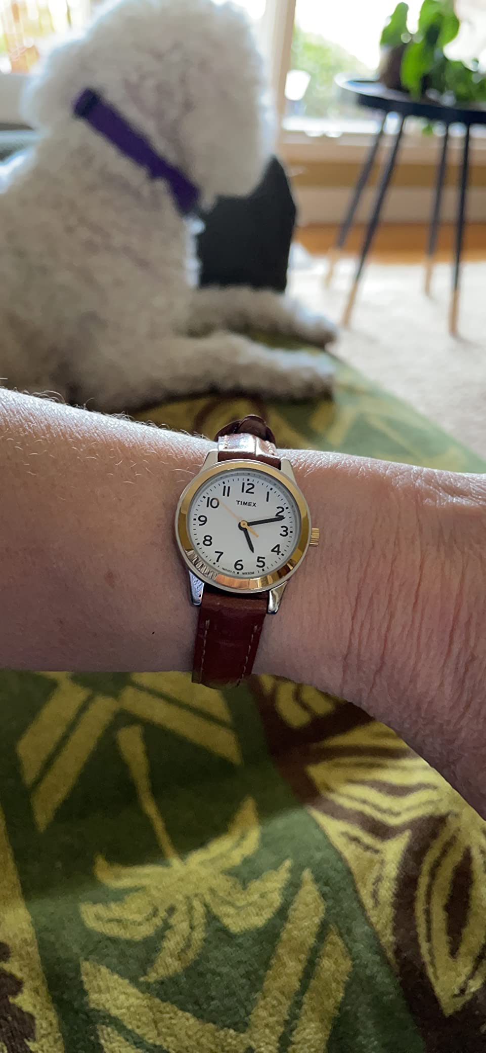 Timex Women's Essex Ave 25mm Watch customer photo 1