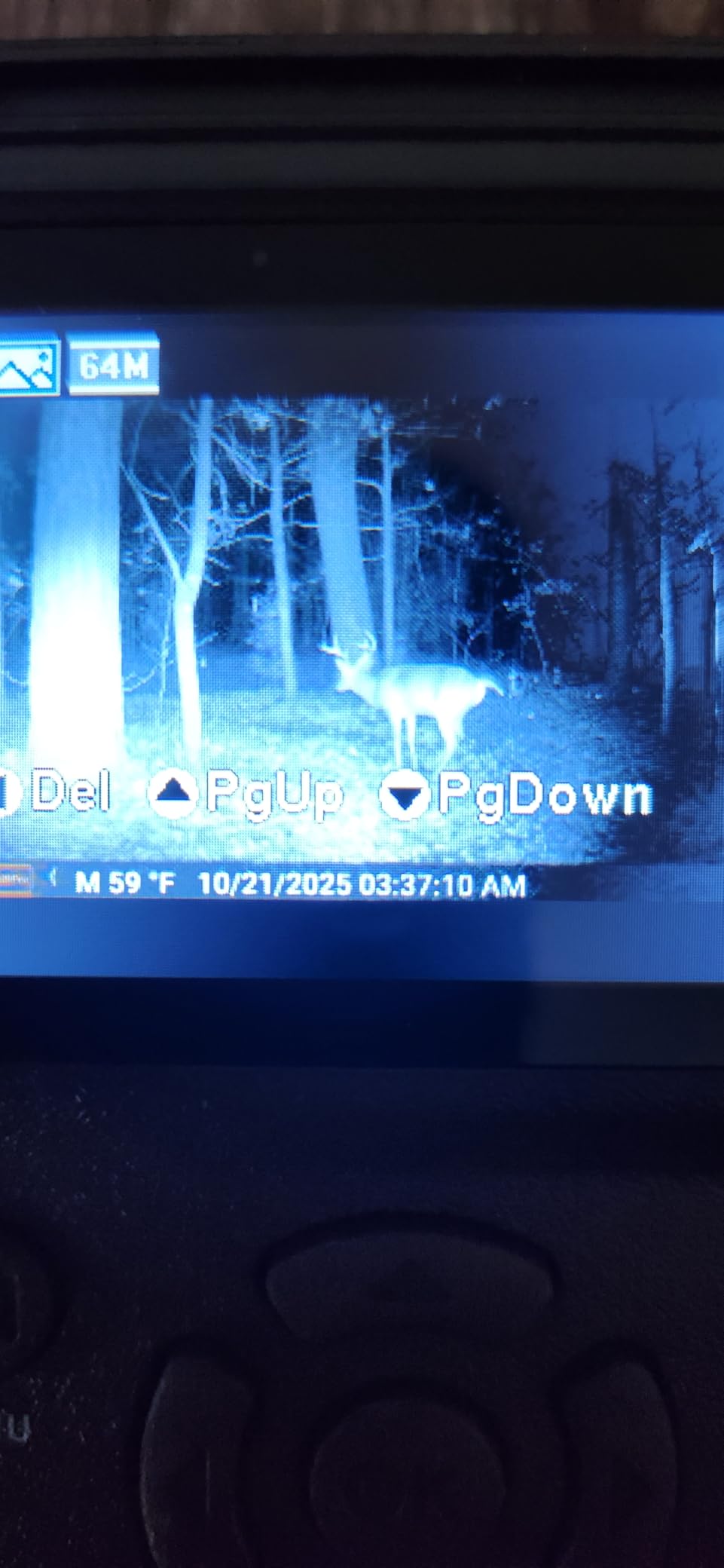 GardePro E5S Non-Cellular Trail Camera, 64MP Photo & 1296P HD Video customer photo 1