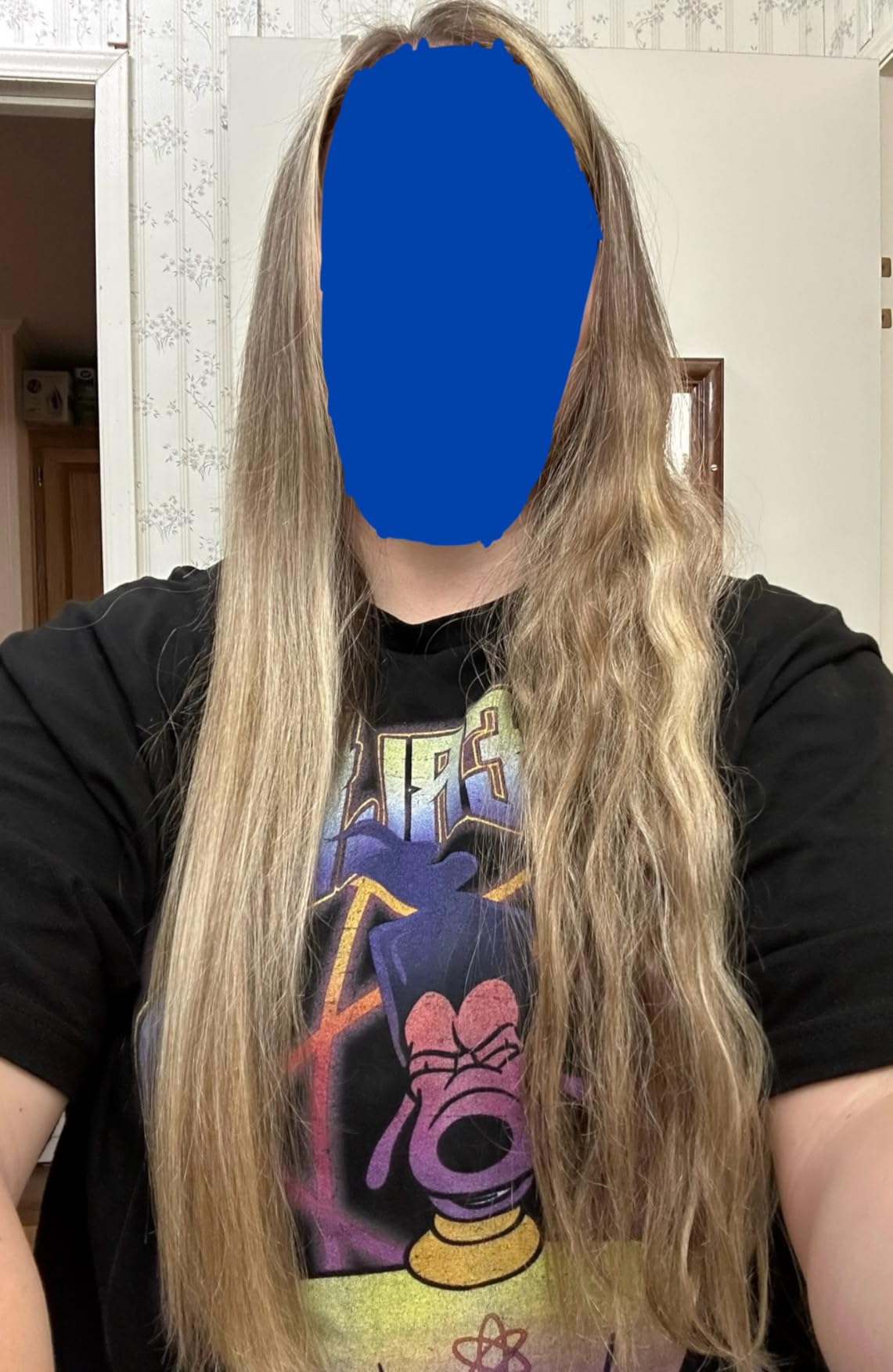 LANDOT Ionic Hair Straightening Brush - Straight & Shiny Home Salon Results customer photo 2