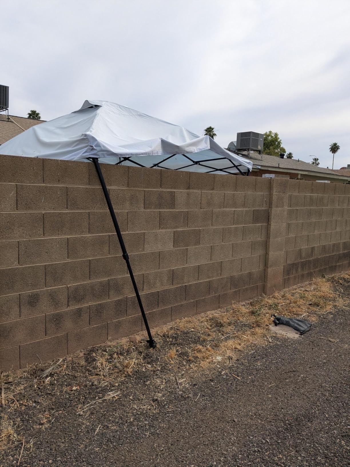Tunbne 10X10 Pop Up Canopy Tent Outdoor with 1 Sidewalls, One Push Setup customer photo 1