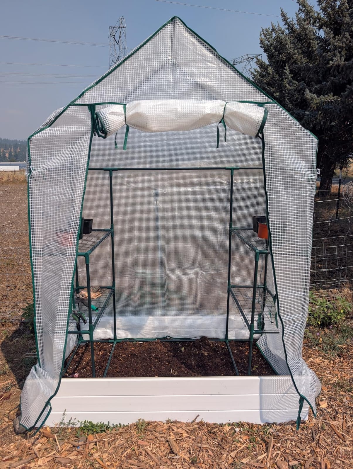 56x55x78 Walk-in Greenhouse for Outdoors, 3-Tier Plant House with 8 Shelves customer photo 1
