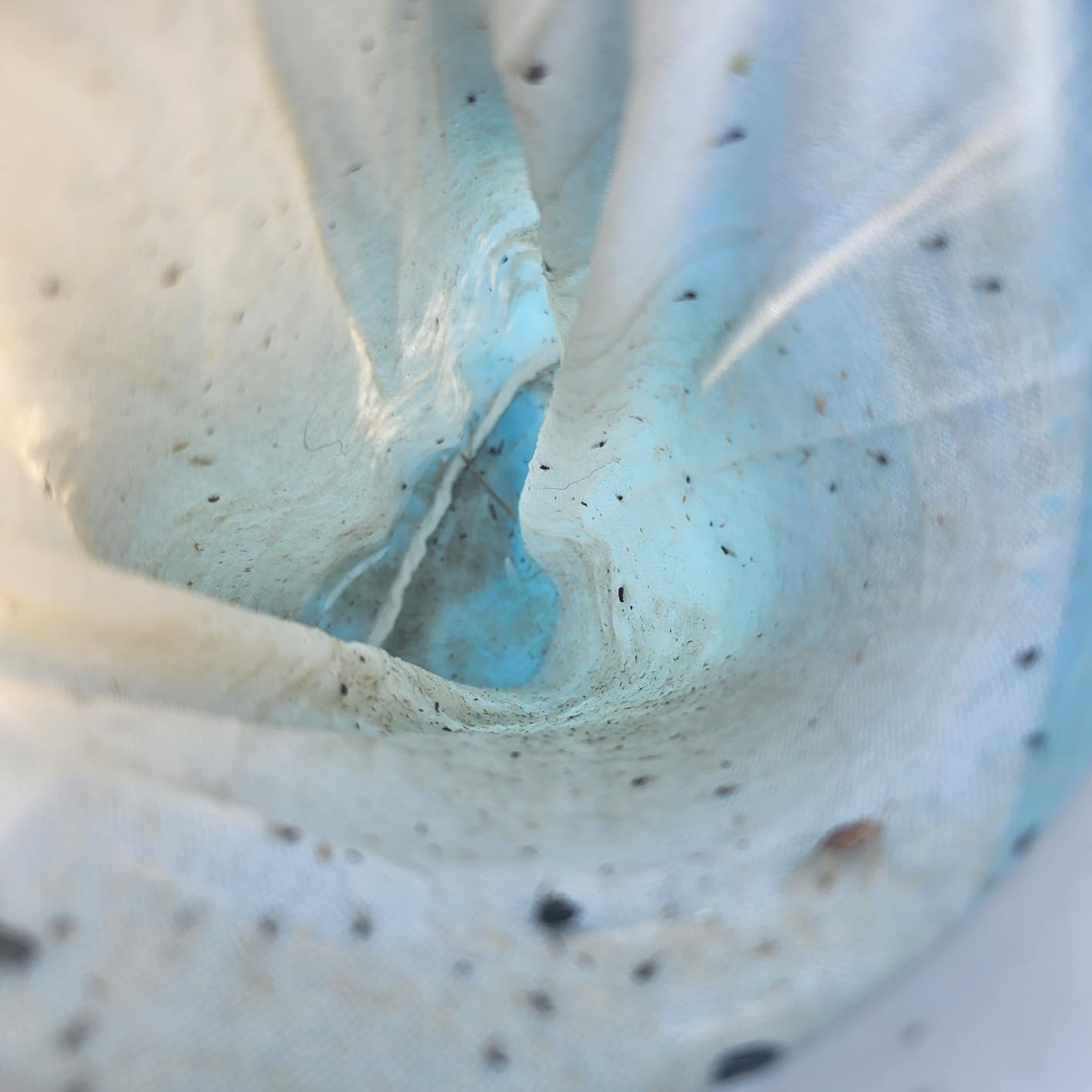 U.S. Pool Supply Pool Skimmer - Above Ground Pool Floating Surface Skimmer customer photo 1
