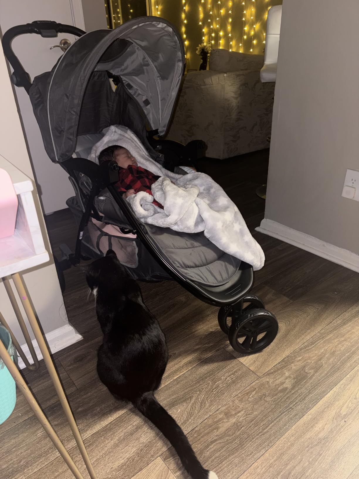 Baby Trend EZ Ride Travel System with EZ-Lift Infant Car Seat, Dash Grey customer photo 2