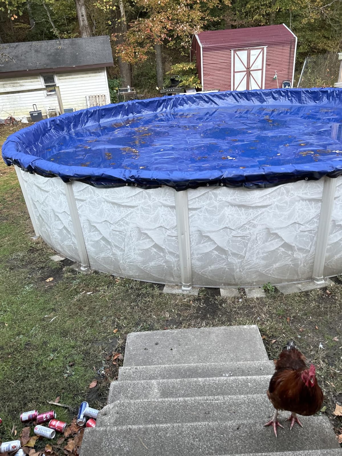 24 ft Round Heavy Duty Winter Pool Cover, Royal Blue, Above Ground Pool customer photo 2