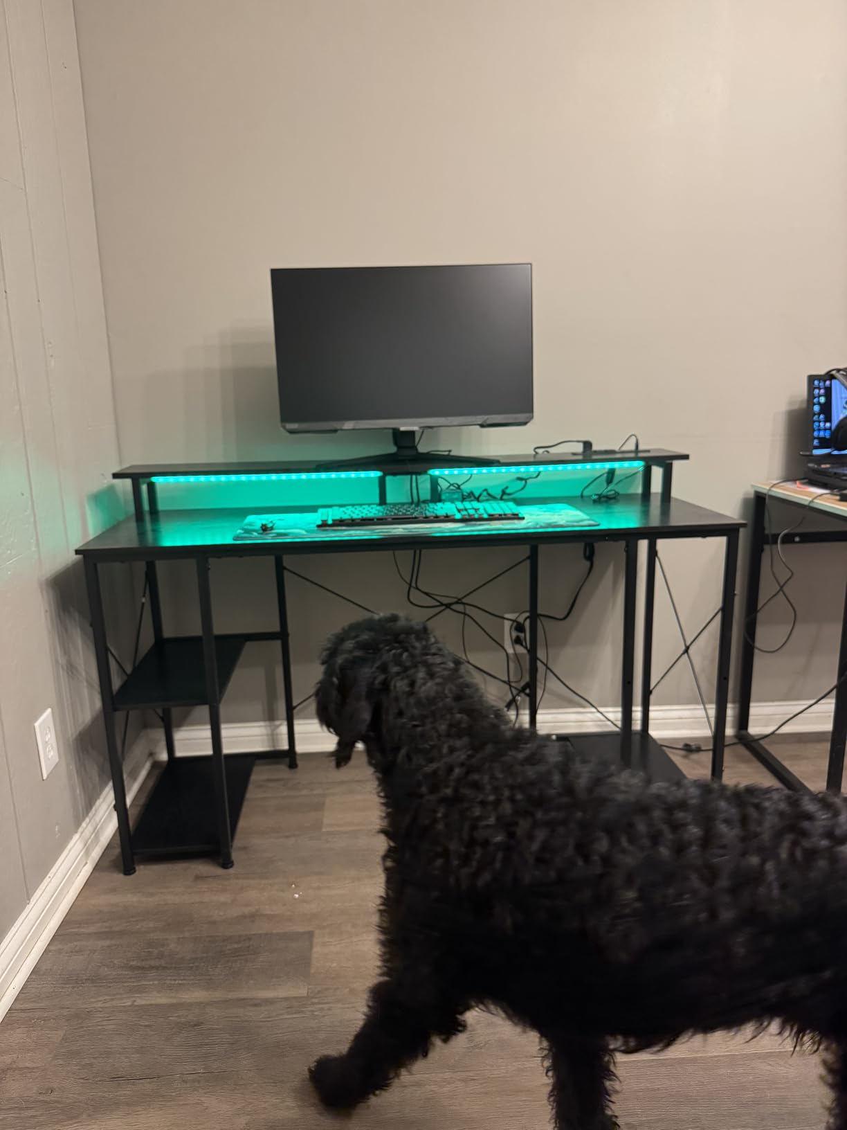 ODK 55 Inch Gaming Desk with LED Lights & Storage Shelves, Black customer photo 2
