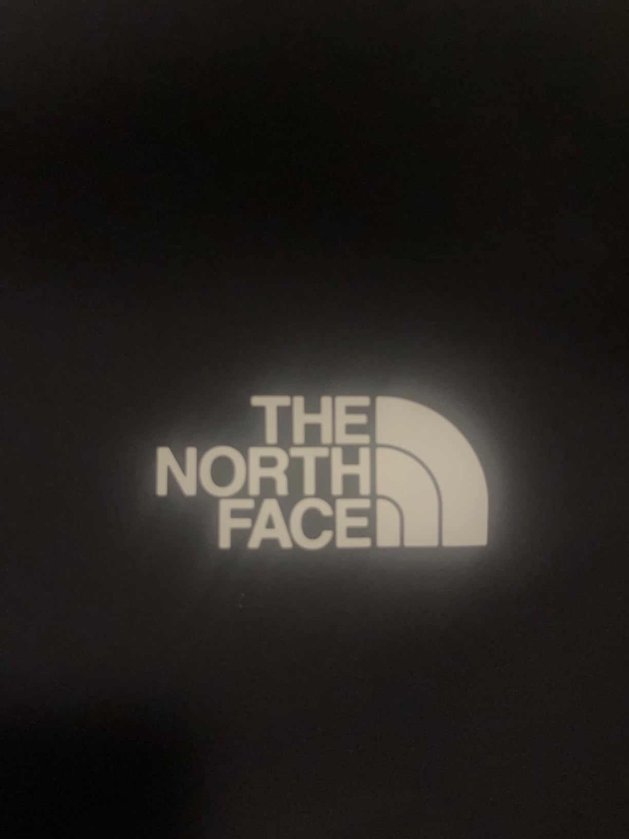 The North Face Men’s Apex Bionic 3 DWR Softshell Hooded Jacket - PFAS Free customer photo 1