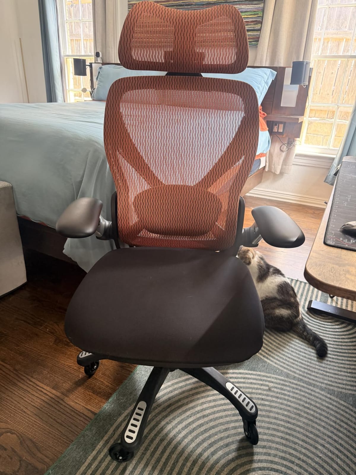 ELABEST X100 Ergonomic Mesh Office Chair with Footrest, Big and Tall Hone Desk Chair with 5D Flip-Up Arms, Adjustable 3D Lumbar Support,Gaming & Executive Computer Chairs customer photo 1