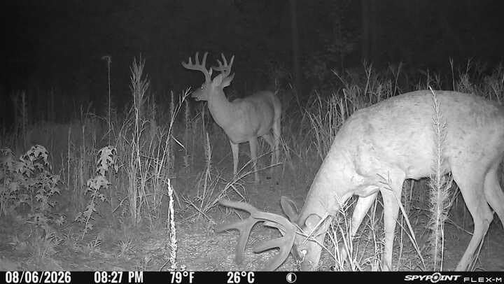 SPYPOINT Flex-M and SD Card Pack - Cellular Trail Cameras |Best Value in Hunting Accessories |No WiFi Needed & GPS-Enabled |Hunting Night Vision | IP65 Waterproof |28MP Photos, 720p Videos customer photo 1