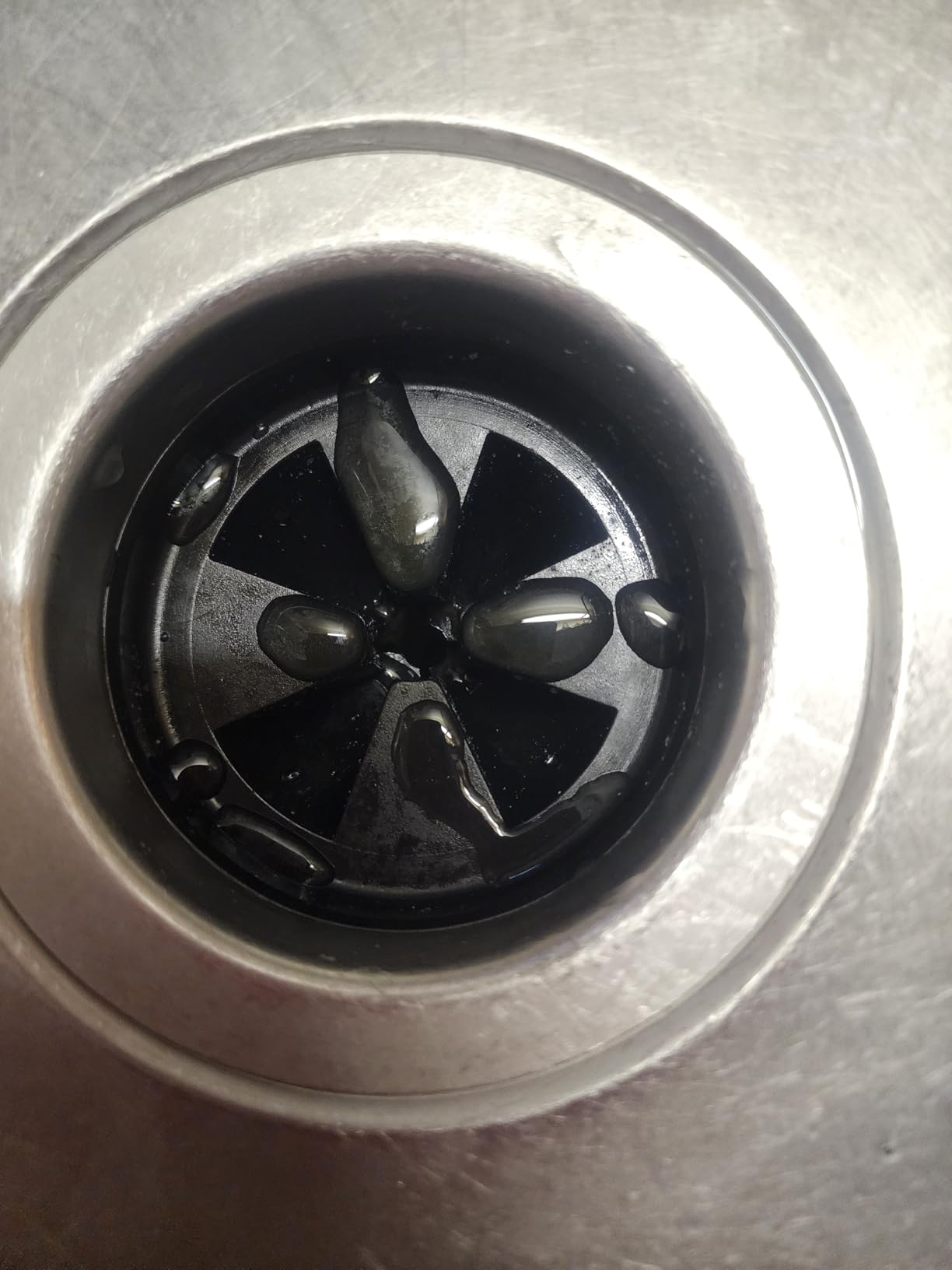 DC 1 HP Garbage Disposal Quiet 60dB with Power Cord, Continuous Feed customer photo 1