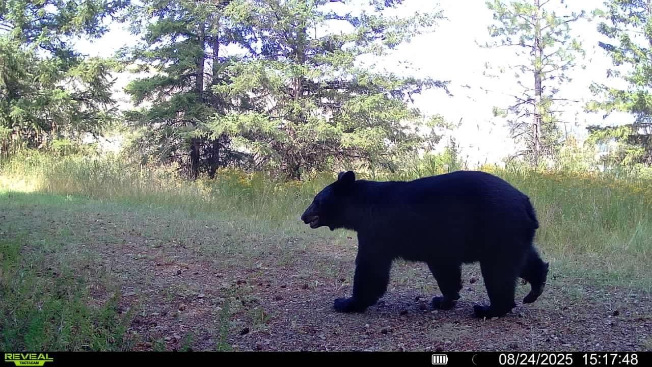 TACTACAM Reveal Ultra Cellular Trail Camera: 4K Photo, 1080p Video, Live View, GPS Tracking-Enabled, Switchable No-Glow/Low-Glow Flash, LTE Connectivity, LCD Screen - Best Hunting, Game Camera customer photo 2