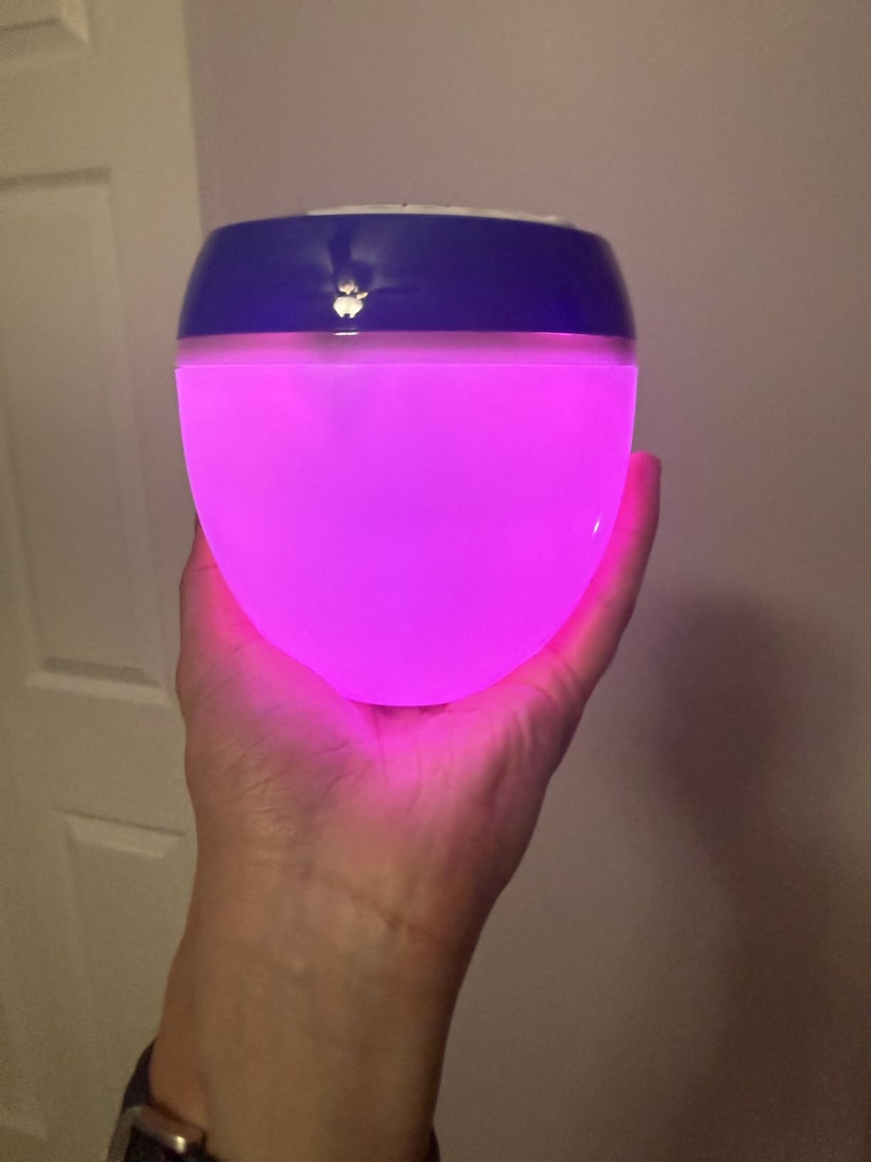 LanAqua 3 in 1 Bluetooth Pool Speaker,Floating Pool Speaker,Hot Tub Speaker customer photo 1