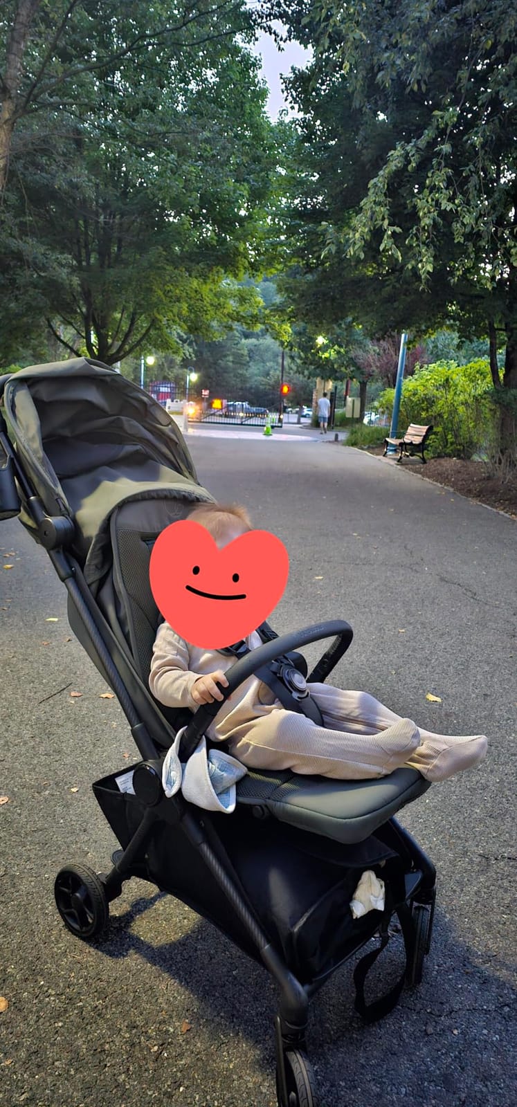 Mompush Nexis Carbon Fiber Lightweight Travel Stroller, Carry-On, Forest customer photo 1