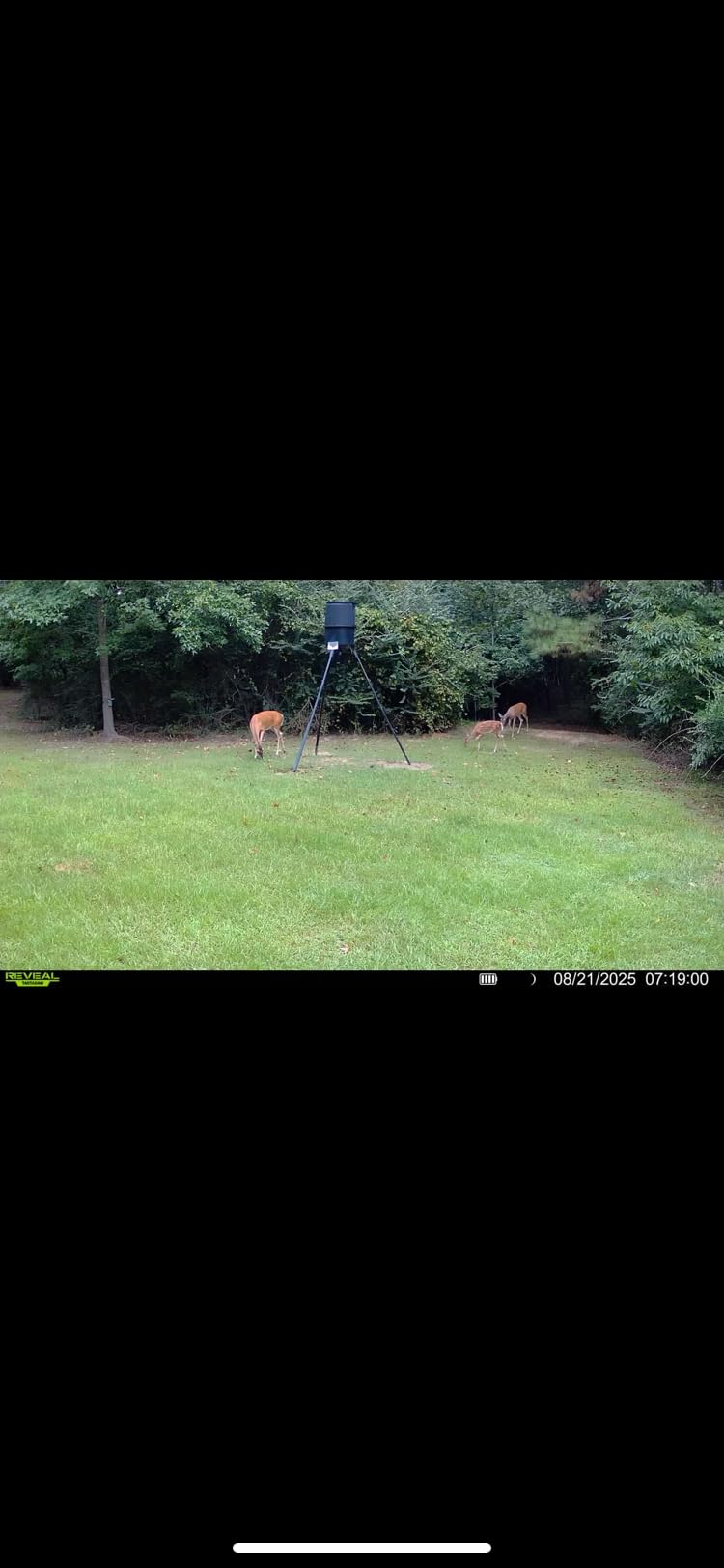 TACTACAM Reveal X 3.0 2-Pack Cellular Trail Camera customer photo 1