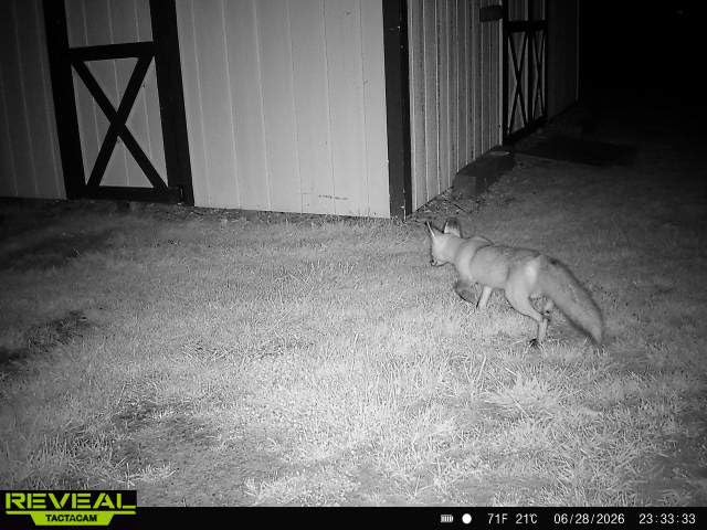 TACTACAM Reveal X 3.0 2-Pack Cellular Trail Camera customer photo 2