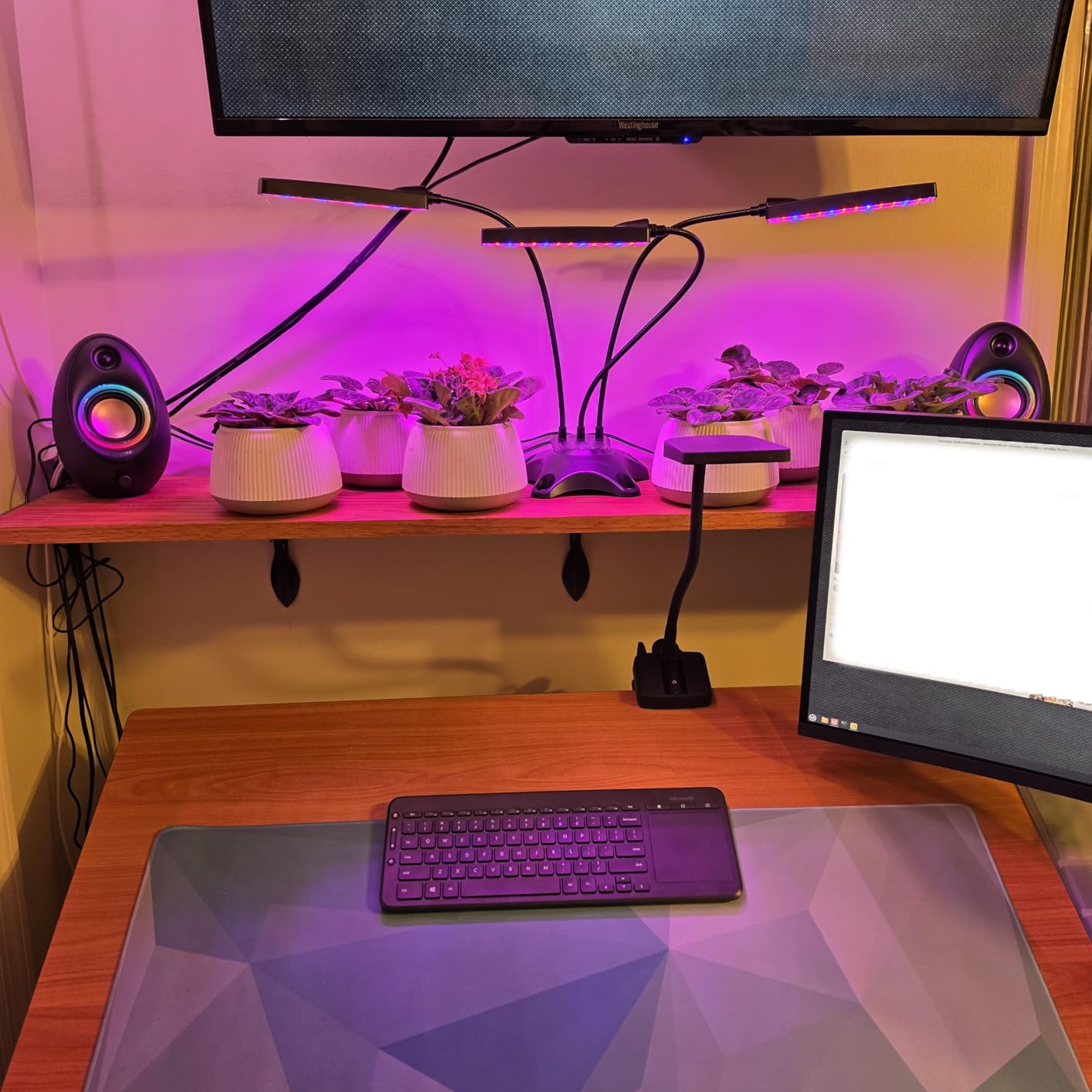 Bluedee Computer Speakers with Subwoofer, 2.1 PC Speakers, 80W Peak Power customer photo 1