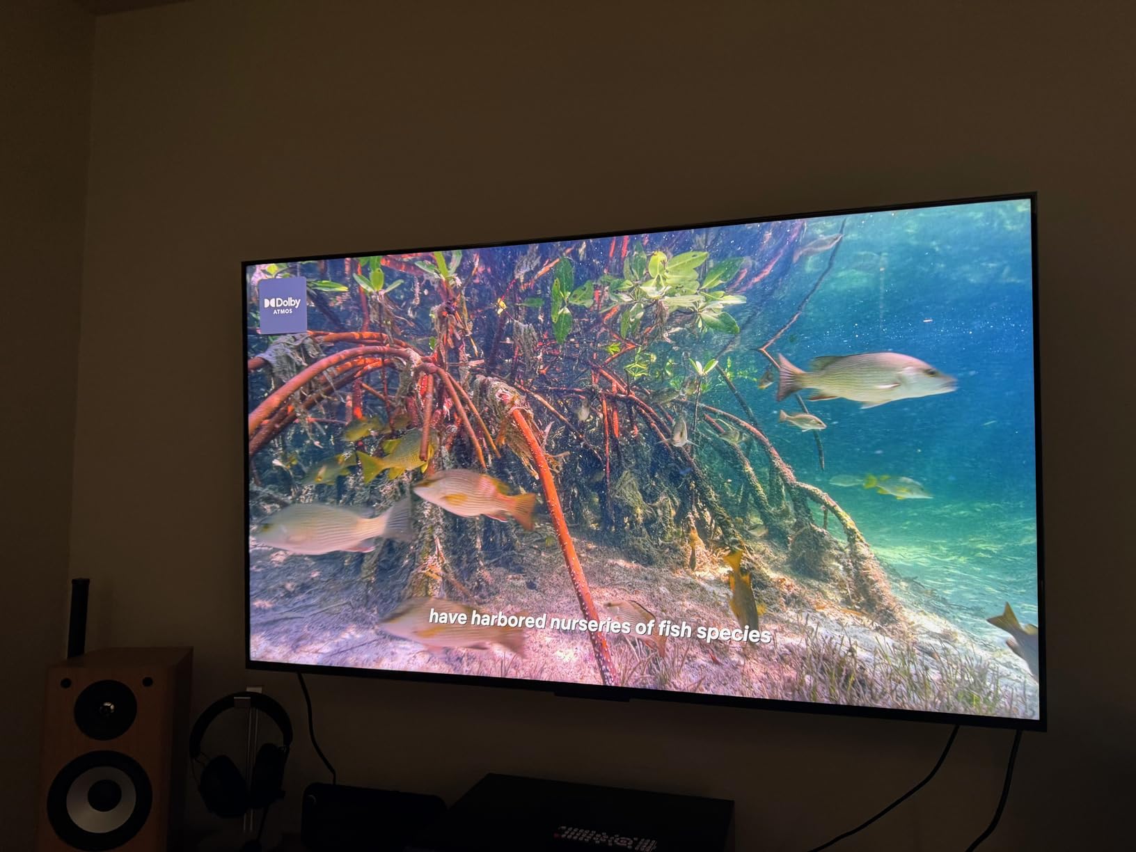 TCL 75 Inch Class QM7L Series | SQD-Mini-LED QLED Smart TV | 75QM7L, 2026 Model | 144Hz | Ultimate Color Ultra Brightness & Contrast | Google AI Bang & Olufsen | Voice Gaming Streaming Television customer photo 2