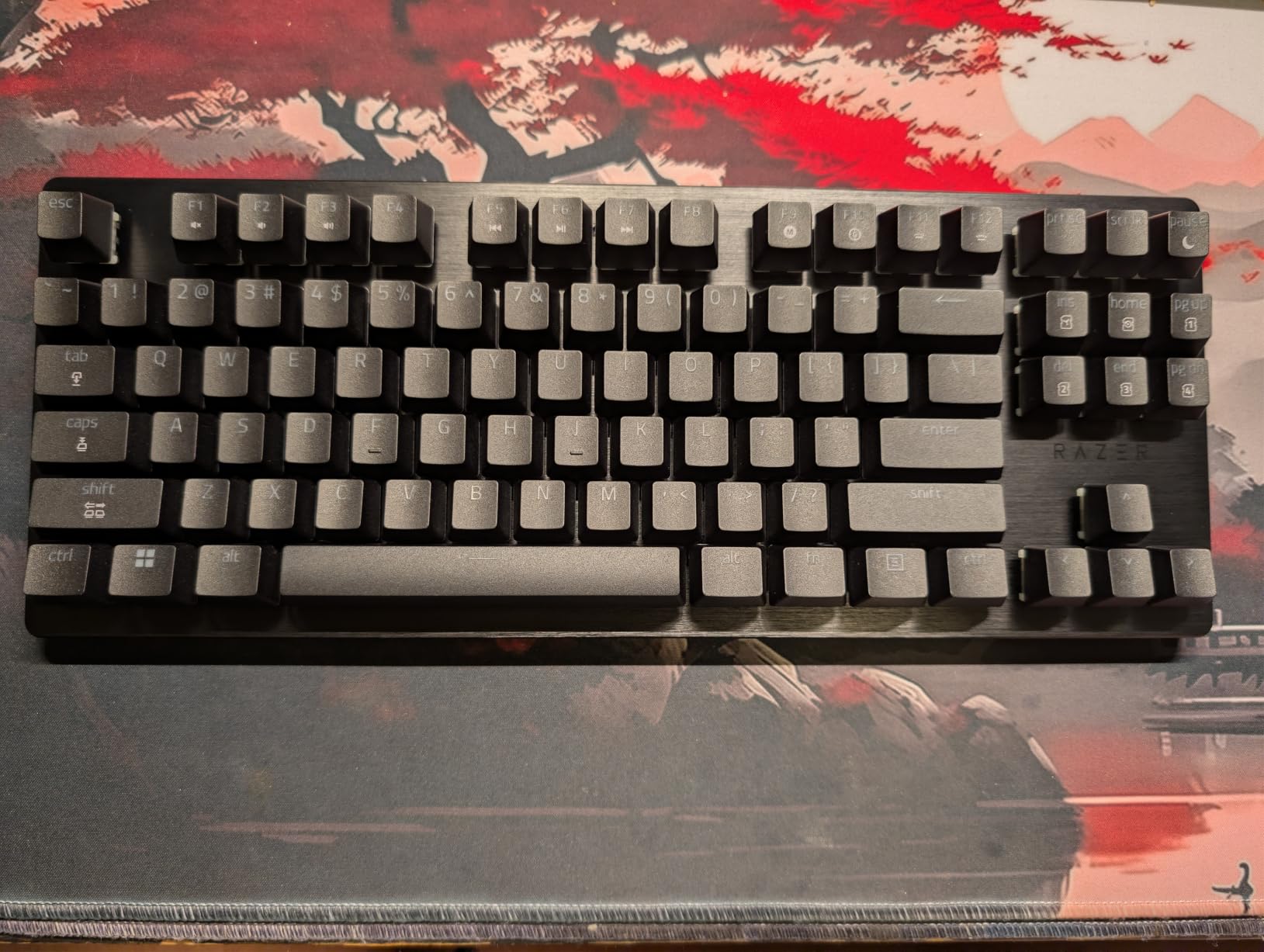 Razer Huntsman V3 HE Magnetic TKL 8KHz Wired Gaming Keyboard customer photo 1