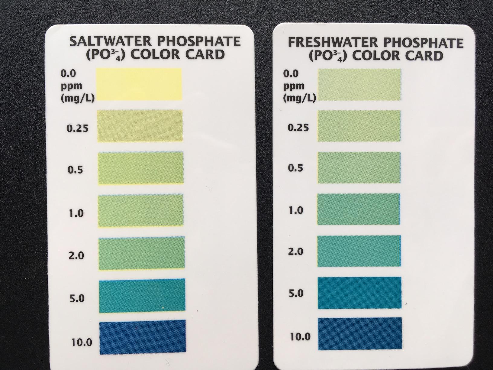 API Phosphate Test Kit For Freshwater And Saltwater, 64 OUNCES customer photo 1