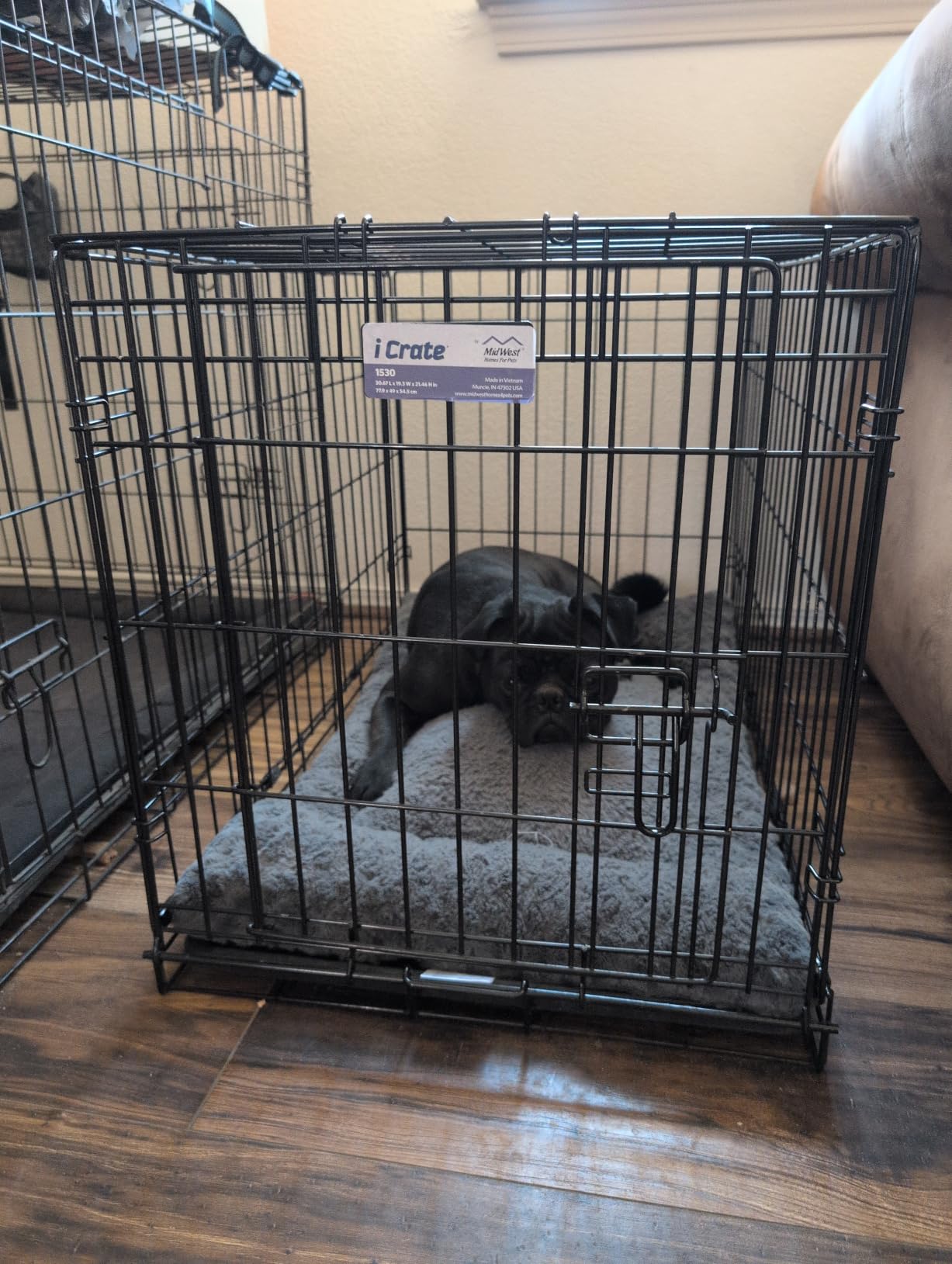 Midwest 48-Inch Single Door iCrate, for Extra-Large Breeds, 90-110 lbs customer photo 2