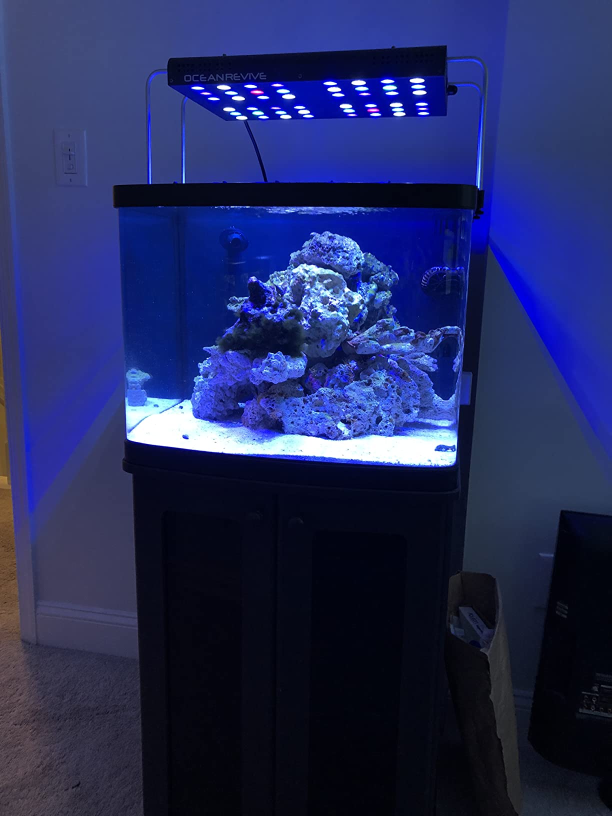 API Saltwater Master Test Kit 550-Test Saltwater Aquarium Water Test Kit customer photo 1