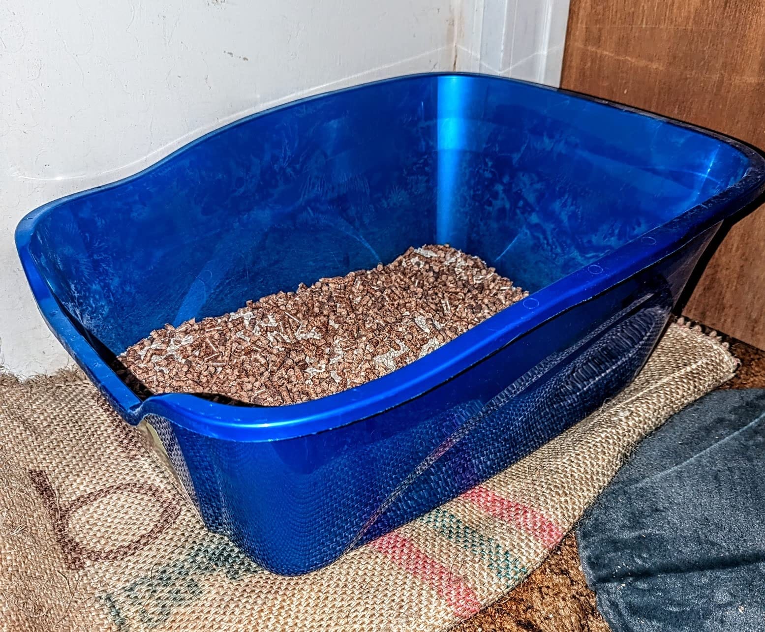 Pureness Giant High Sides Cat Litter Pan, Colors may Vary. customer photo 2