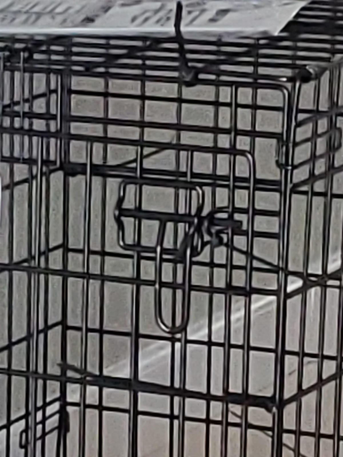 Ultima Pro by Midwest 30-Inch Double Door Dog Crate, 21-40 lbs customer photo 1