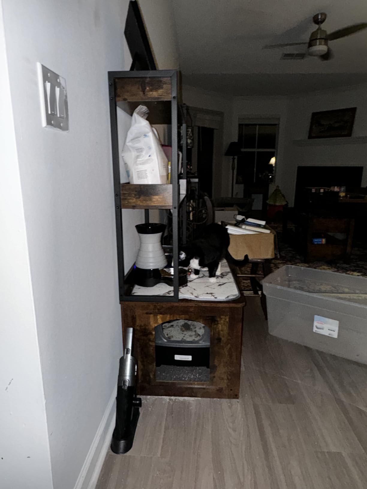 PetSafe Healthy Pet Food Station, 2 lb Gravity Feeder, Cats & Dogs, Small customer photo 2