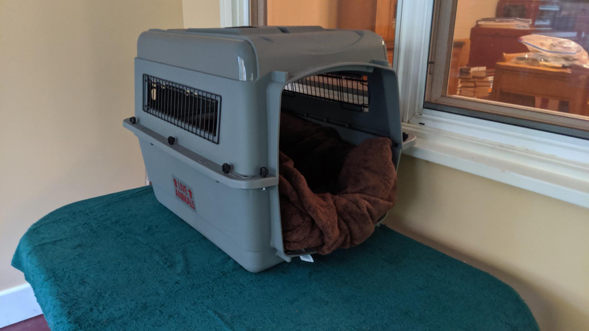 Petmate Sky Kennel for Air Travel, 48in Dog Crate for Pets 90 to 125lbs customer photo 1