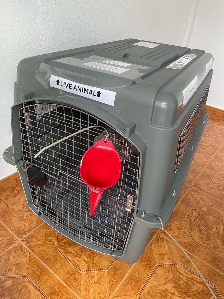 Petmate Sky Kennel, for Air Travel, 36in Dog Crate for Pets 50 to 70lbs customer photo 2