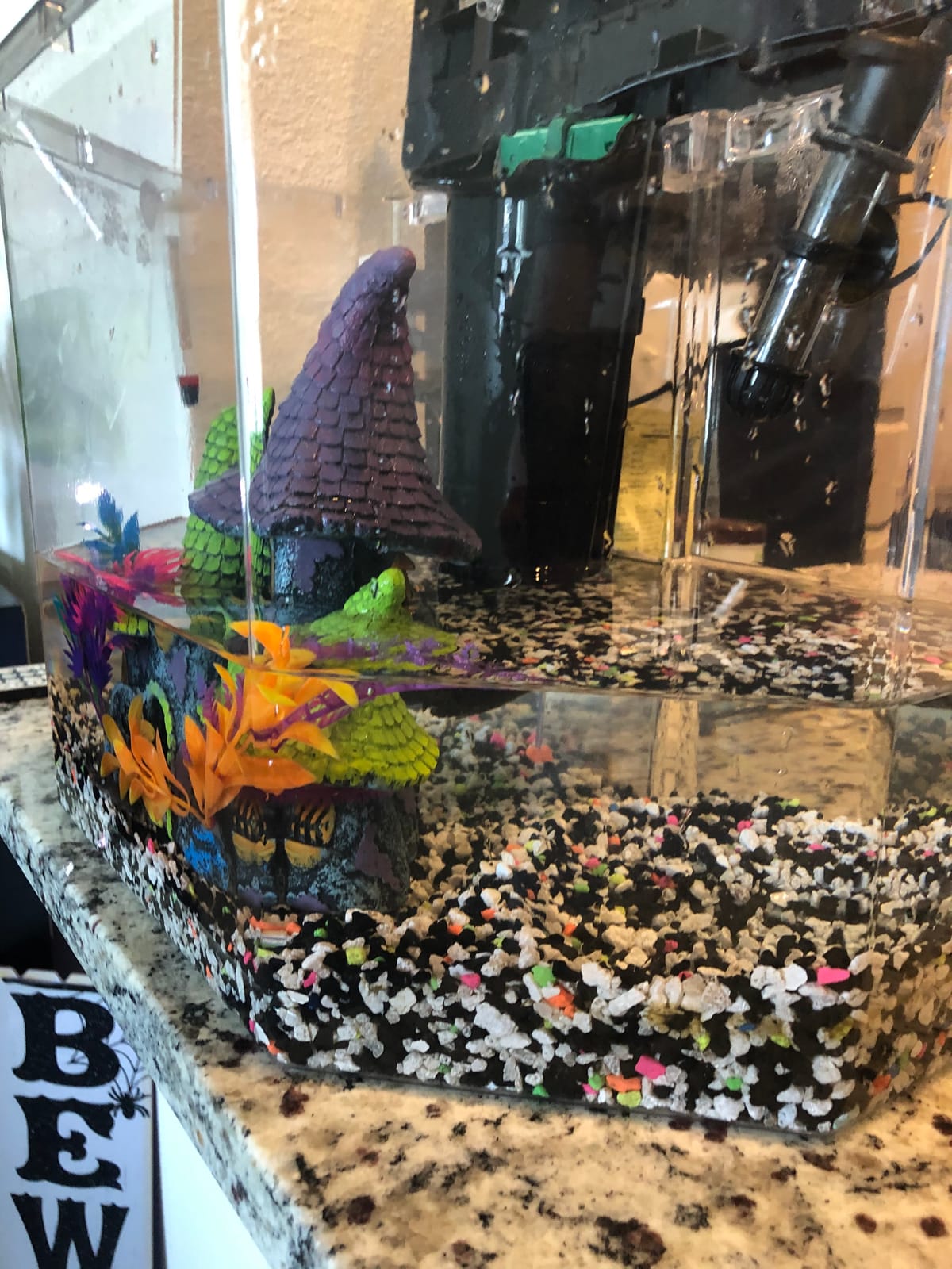 Aqueon Siphon Vacuum Aquarium Gravel Cleaner Mini - 5 Inches customer photo 2