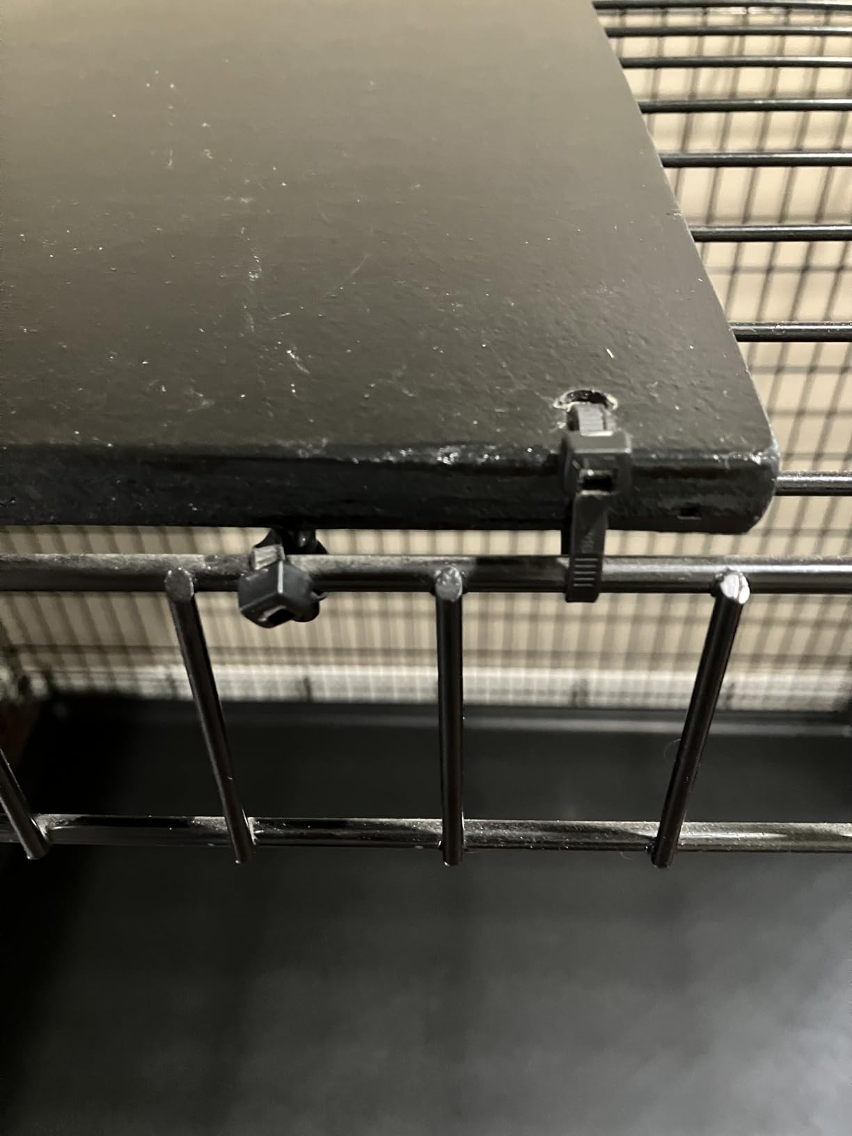 Solutions by Midwest 54-Inch Double Door Crate, Giant Breed Dogs, 100+ lbs customer photo 2