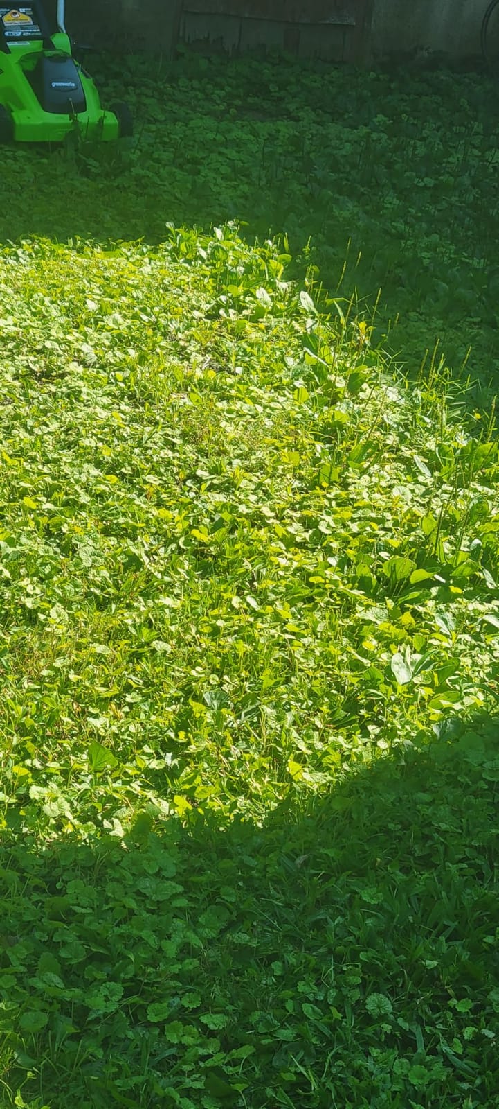 Greenworks 40V 16in Push Lawn Mower, 4.0 Ah Battery and Charger customer photo 2