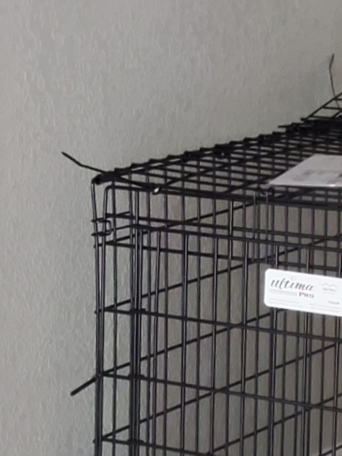 Ultima Pro by Midwest 48-Inch Double Door Dog Crate, 90-110 lbs customer photo 1