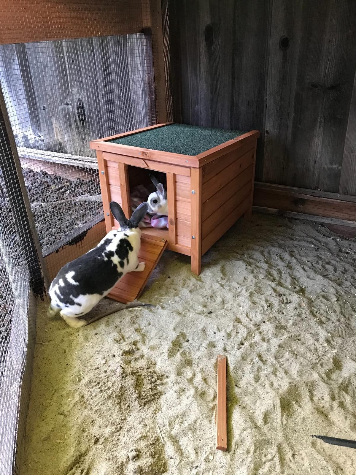 PawHut Small Wooden Rabbit Hutch Bunny Cage Guinea Pig Cage Duck House Dog House with Openable & Waterproof Roof, Natural customer photo 2