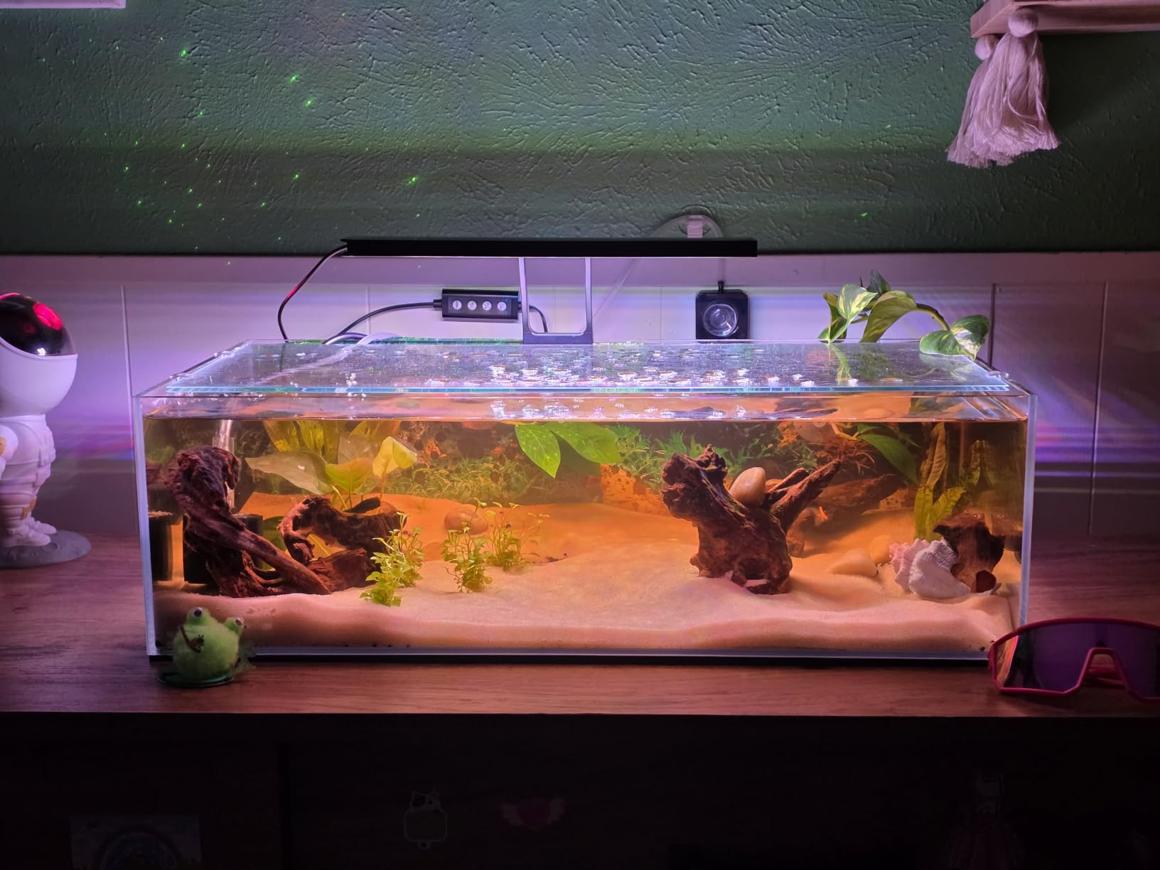 LANDEN Aquarium 60P 16 Gallon Ultra Clear Glass Rimless Fish Tank customer photo 2