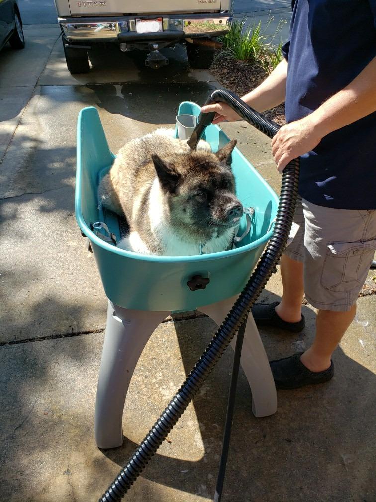 Booster Bath Elevated Pet Bathing X-Large, Blue. Made in The USA customer photo 1