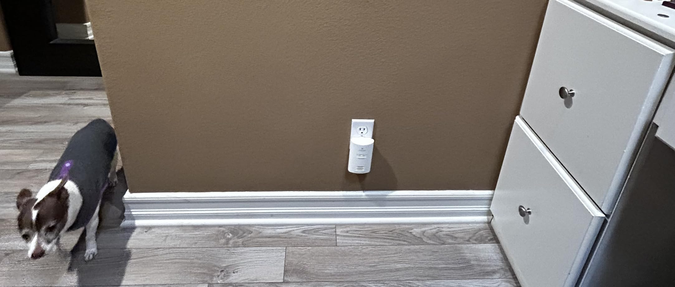 Kidde Carbon Monoxide Detector, Plug-in Wall with AA Battery Backup, Test-Hush Button customer photo 1