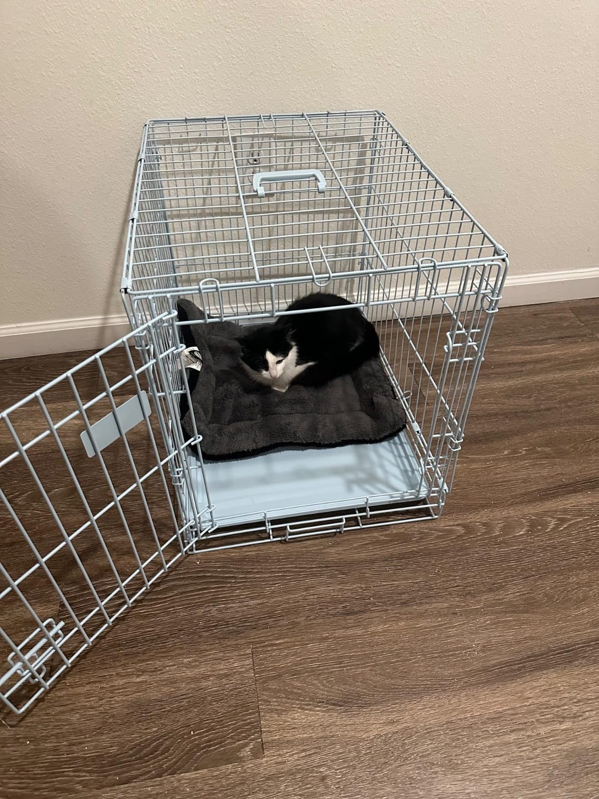 Carlson Pet Products Carlson Compact and Secure Deluxe Blue Metal Dog Crate, Blue customer photo 1