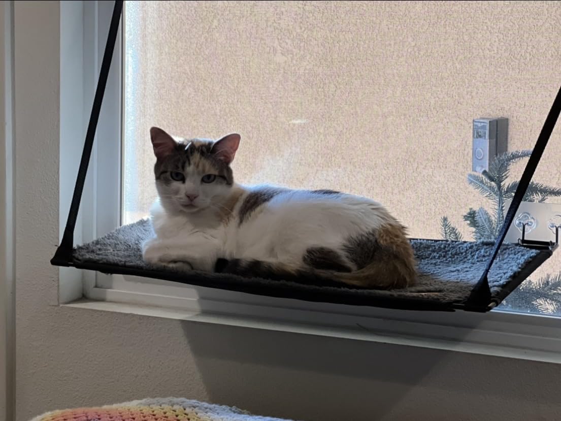 K&H Cat Window Perch, EZ Mount Kitty Sill - Fits 27in Wx23in H Glass Spaces customer photo 2
